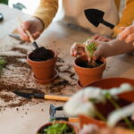 O segredo do cultivo saudável que jardineiros não revelam