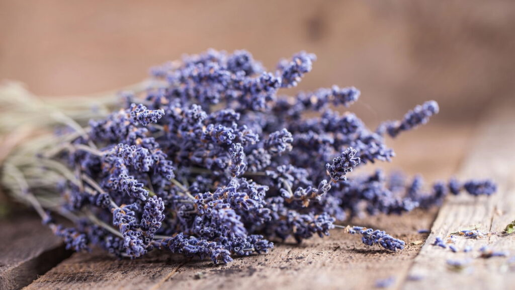 Como fazer um aromatizador natural para relaxar e dormir melhor