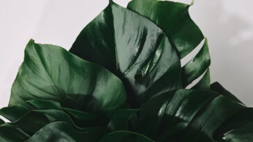 Esse chaveiro de crochê inspirado na natureza encantou artesãs e crocheteiras