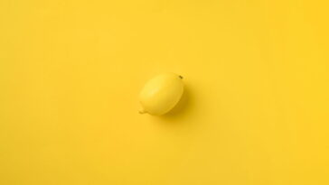 Este penduricalho em crochê virou o queridinho dos fãs do verão