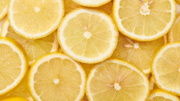 Este penduricalho em crochê virou o queridinho dos fãs do verão