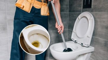 Nem vinagre, nem bicarbonato: a melhor maneira de remover o calcário das torneiras e vasos sanitários