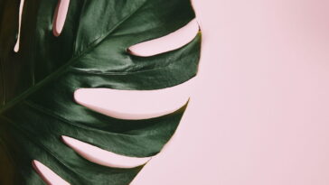 O detalhe que transforma uma folha de crochê em brinco perfeito