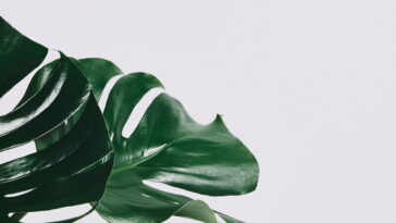 O detalhe que transforma uma folha de crochê em brinco perfeito