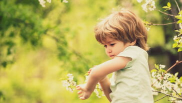 Essa mistura simples está mudando a forma como lidamos com insetos em casa