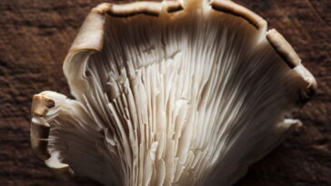 Esse chaveiro artesanal virou febre entre quem ama crochê criativo