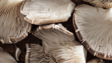 Esse item mágico de crochê vai te conquistar ponto por ponto