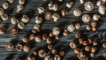 Tutorial de almofada cogumelo em crochê com dicas de acabamentos para uma decoração perfeita