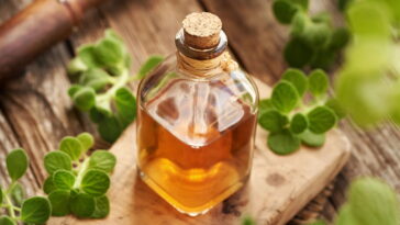 Conheça os benefícios do óleo de orégano para a saúde e como usar no dia a dia