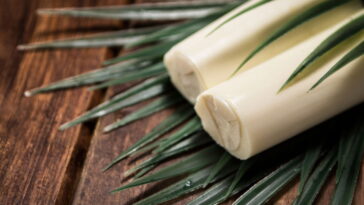 A cultura mais promissora do campo brasileiro pode estar em sua casa