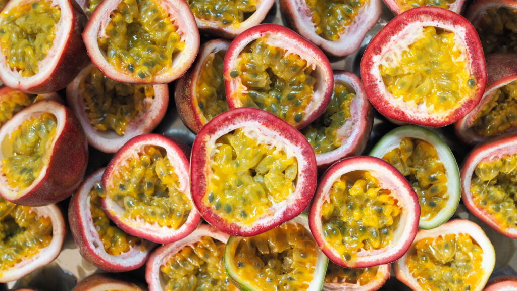 Esse detalhe muda tudo no cuidado com plantas tropicais
