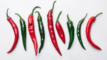 Chaveirinho de pimenta em crochê que atrai sorte e estilo