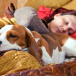 O que significa dormir com animais segundo especialistas