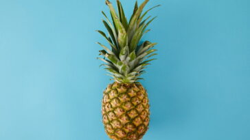 Essa capa de crochê com formato de abacaxi virou febre na decoração