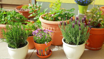 Transforme potes de plantas em objetos úteis com essas dicas criativas