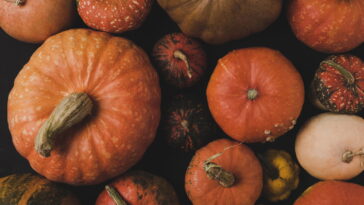 Aprenda a fazer um amigurumi de abóbora lindo para decorar ou vender