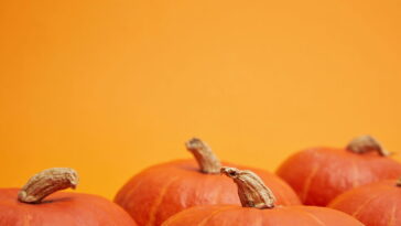 O truque para fazer uma cesta de abóbora em crochê perfeita