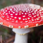 O acessório de crochê que virou xodó nos quartinhos infantis