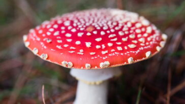 O acessório de crochê que virou xodó nos quartinhos infantis