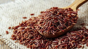 Conheça os benefícios do arroz vermelho e como preparar da forma certa