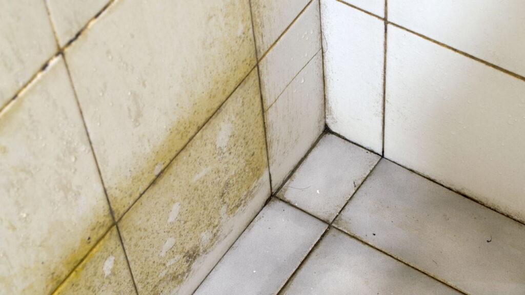 Brasileiros estão limpando os azulejos com isso e o resultado impressiona