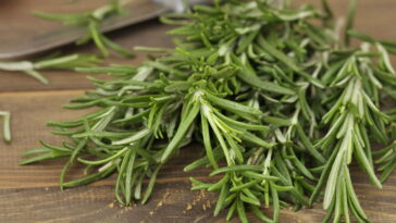 Essa planta simples pode trazer paz e proteção ao seu lar