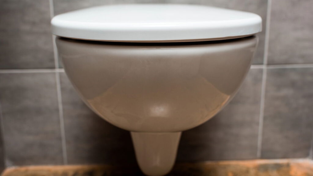 Como eliminar o calcário do vaso sanitário com truque simples