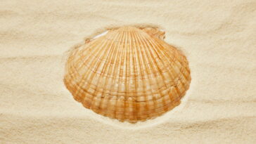 Esse acessório criativo em crochê virou tendência na moda praia