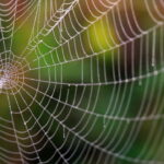 Essa luva com teia de aranha virou febre entre fãs de Halloween artesanal