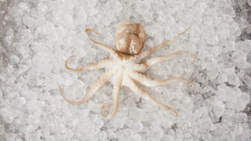 O acessório de crochê que está encantando bolsas e mochilas por aí