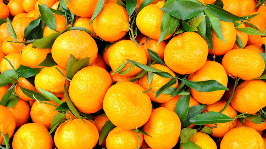 O ritual mais poderoso com laranja e louro para renovar seu lar