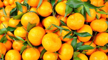 O ritual mais poderoso com laranja e louro para renovar seu lar