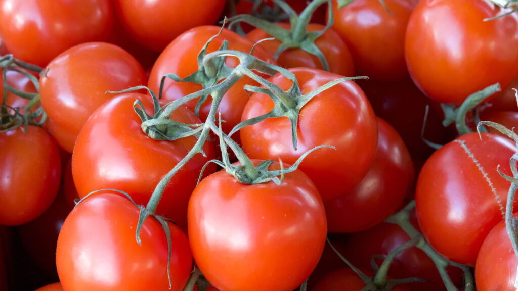 Crochê funcional transforma tomate em um porta agulhas lindo e útil