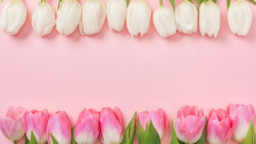 Essa flor em crochê está conquistando corações nas mesas decoradas