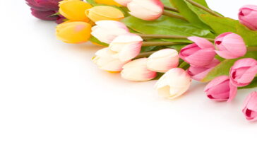 Esse porta toalhas com tulipas virou o queridinho das cozinhas e banheiros