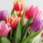 Como fazer descanso de copos de tulipas em crochê fácil, rápido e encantador