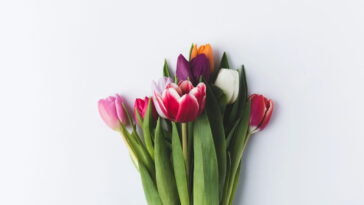 Como fazer descanso de copos de tulipas em crochê fácil, rápido e encantador