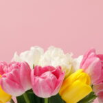 Conheça as melhores flores para plantar na primavera brasileira para ter um jardim lindo no verão