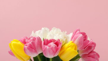 Conheça as melhores flores para plantar na primavera brasileira para ter um jardim lindo no verão