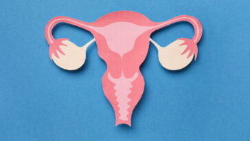 Amigurumi de útero em crochê, um passo a passo fácil e sem segredos