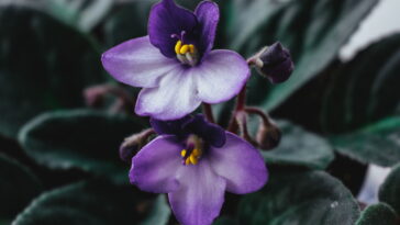 O chaveiro que virou sensação entre artesãs e fãs de crochê floral