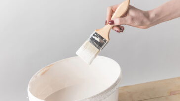 A verdade por trás dos troncos de árvores pintados de branco no Brasil