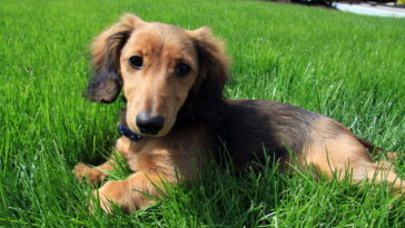 O modelo de crochê que deixou o quarto mais divertido e acolhedor