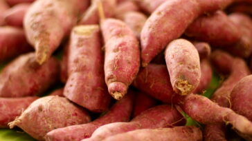 Aprenda como ter inhame fresco em casa o ano inteiro