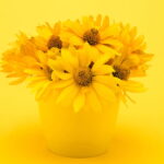 O que muda na sua casa quando você coloca flores amarelas nos pontos certos segundo o feng shui