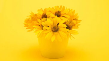 O que muda na sua casa quando você coloca flores amarelas nos pontos certos segundo o feng shui