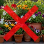 A tendência que substitui os vasos e transforma a decoração com plantas suspensas