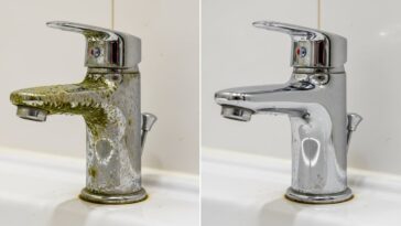 O truque de encanador que previne o calcário e mantém as torneiras sempre brilhando