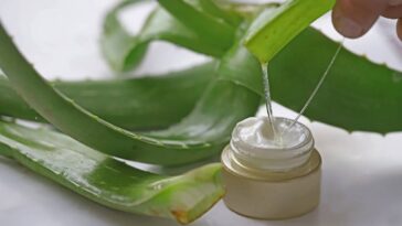 Este creme natural com babosa hidrata, regenera e estimula a produção de colágeno na pele - Créditos: depositphotos.com / mylasa