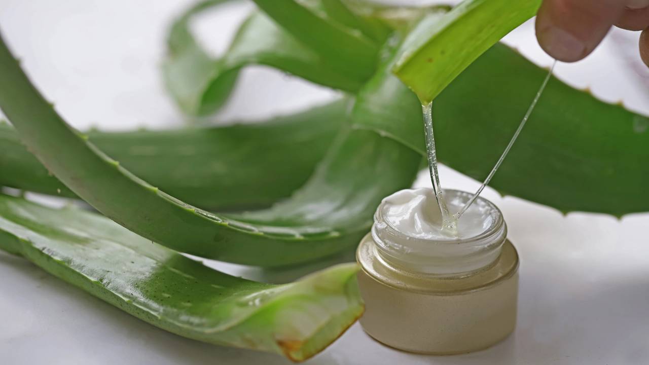 Este creme natural com babosa hidrata, regenera e estimula a produção de colágeno na pele - Créditos: depositphotos.com / mylasa